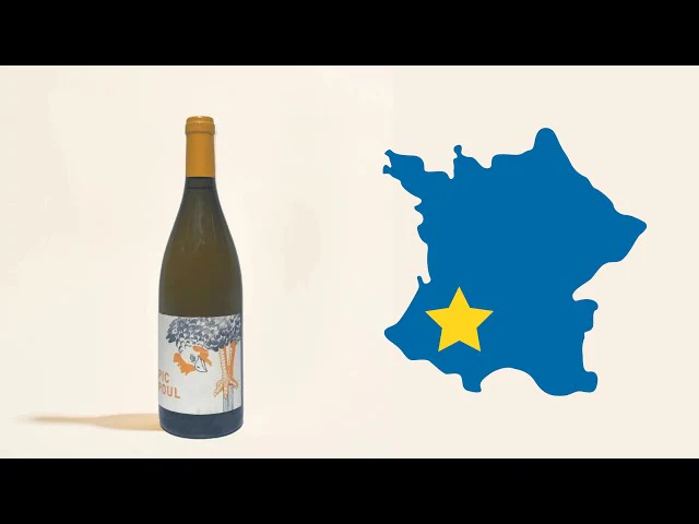 Picpoul 2023 - Image 3