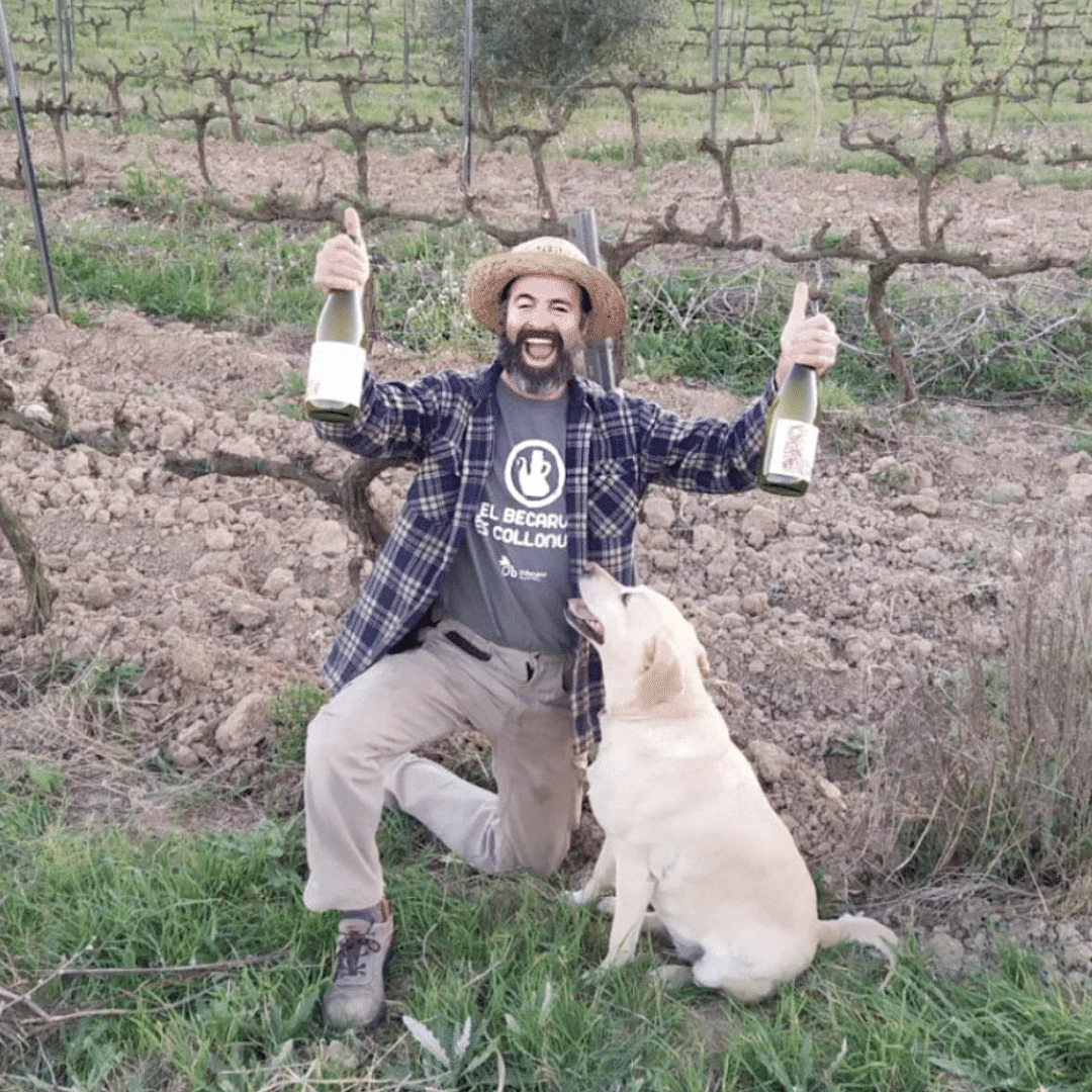 Verdejo 'Litrona' 2020 - Image 4