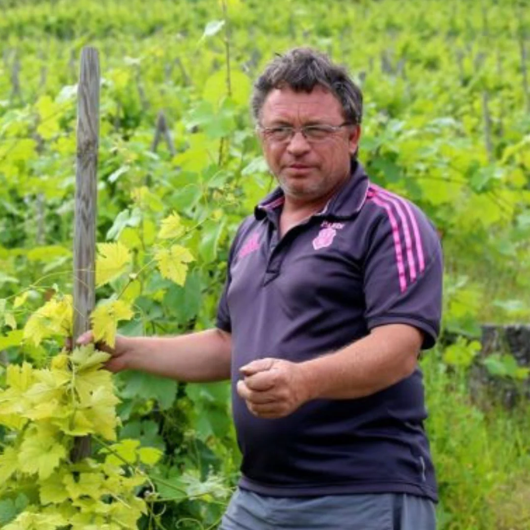 Côte-Rôtie "Les Binardes" 2020 - Image 6