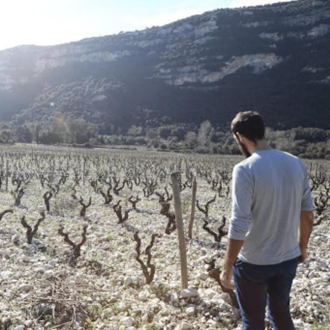 Grotta di Sole Blanc 2019 - Image 3