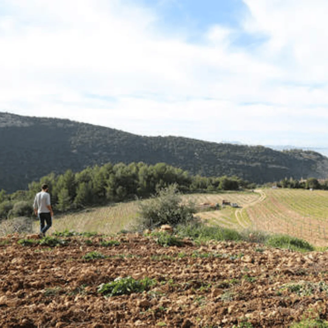 Grotta di Sole Blanc 2019 - Image 4