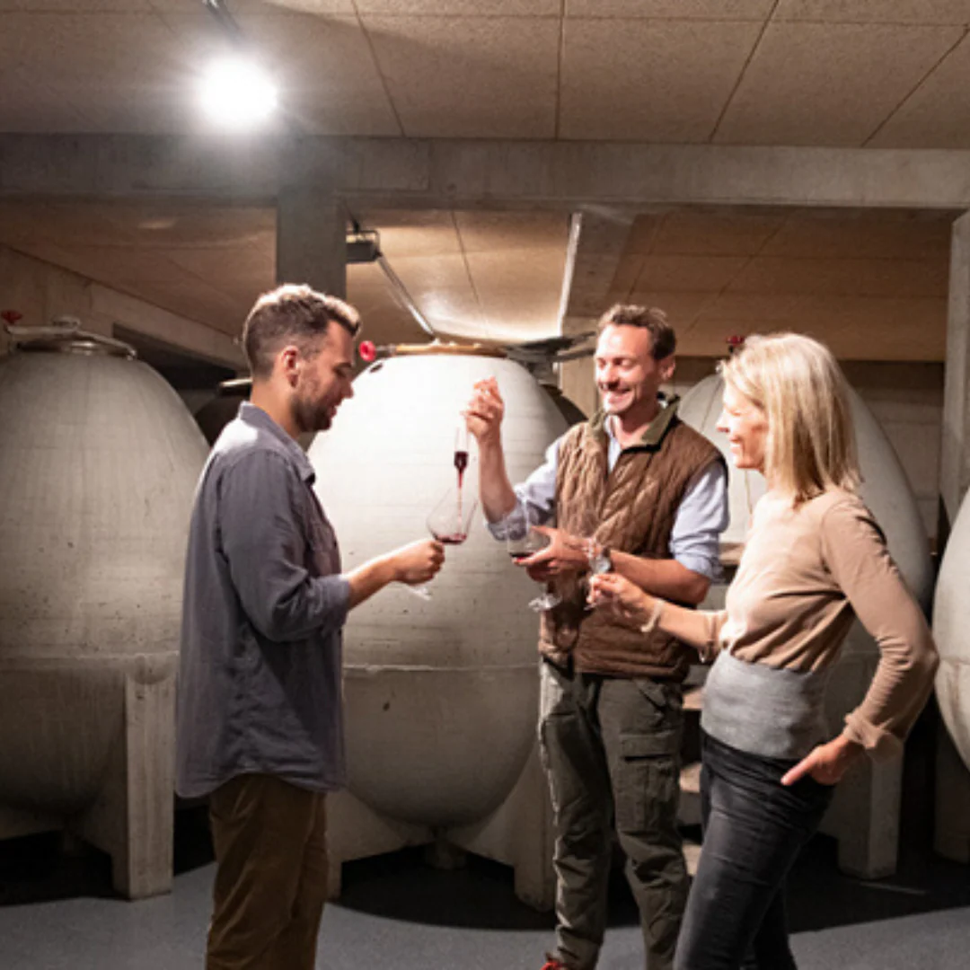 Burgenland White 2020 - Image 3