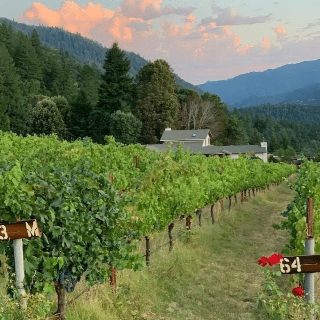 Humboldt Merlot 2018 - Image 4