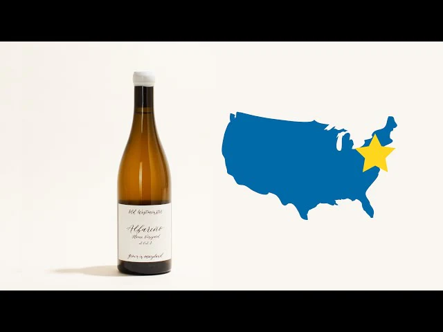 Albariño 2021 - Image 5