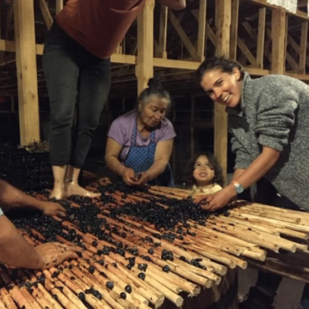 Cinsault 2019 - Image 3