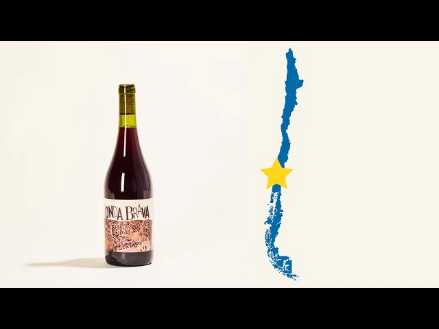 Cinsault 2019 - Image 5