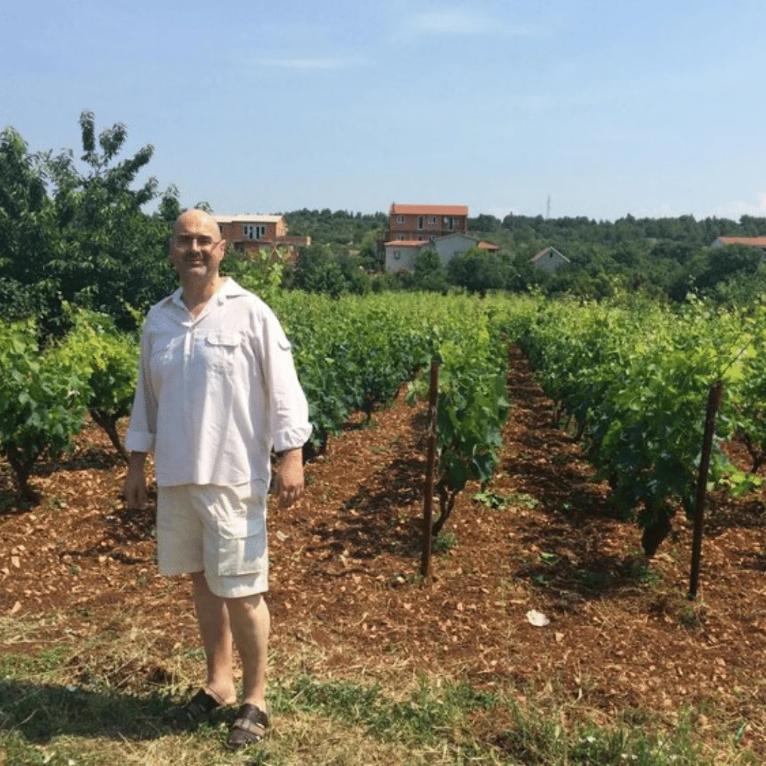 Babić 2016 - Image 4