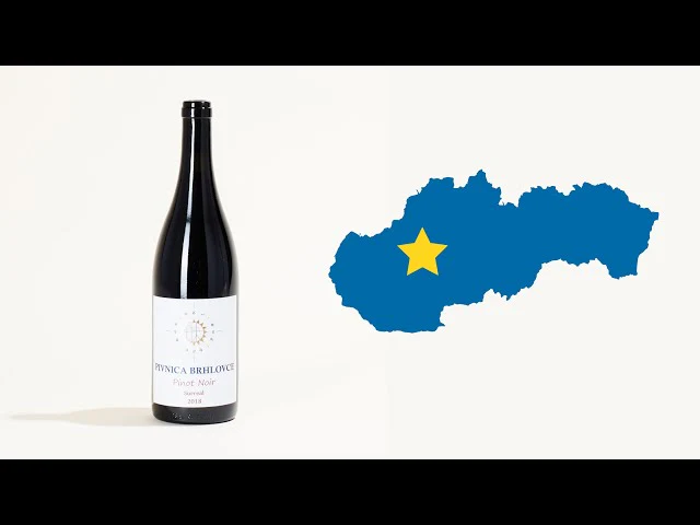 Surreal Pinot Noir 2018 - Image 4