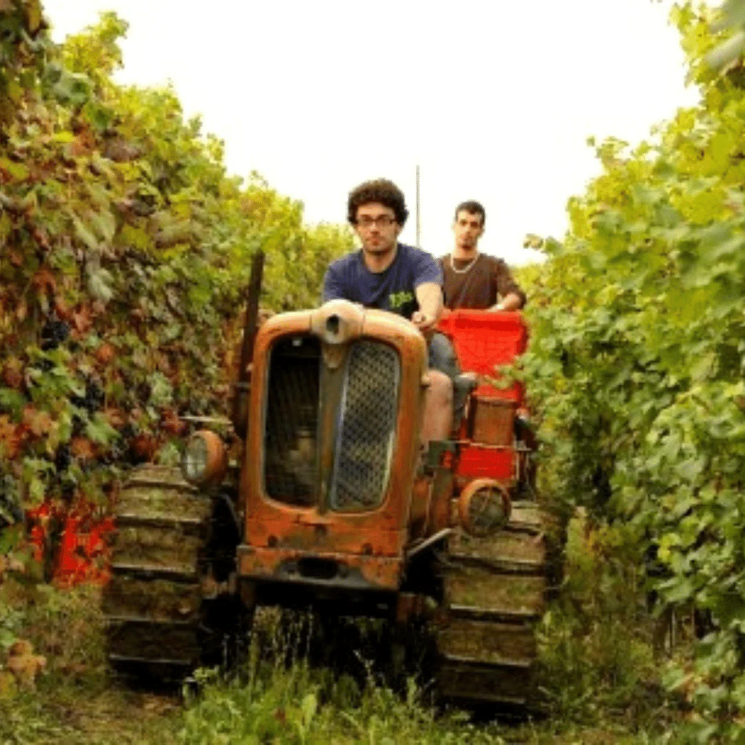 Barbera Sabinot 2019 - Image 4