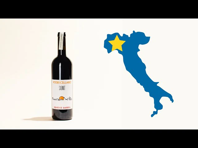 Barbera Sabinot 2019 - Image 5