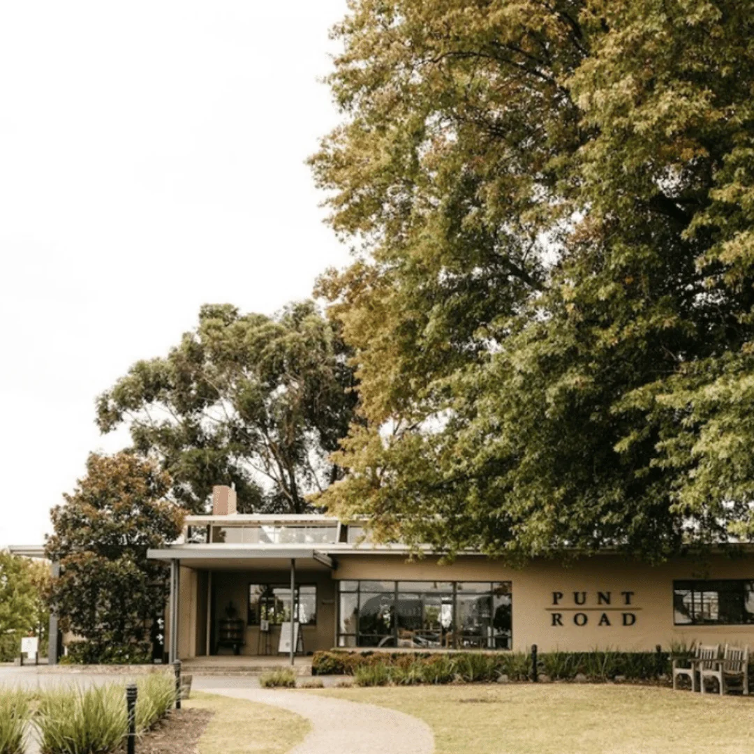 Airlie Bank Gris on Skins 2023 - Image 4