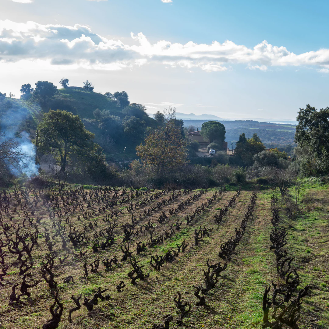 Tot d'Una 2019 - Image 4