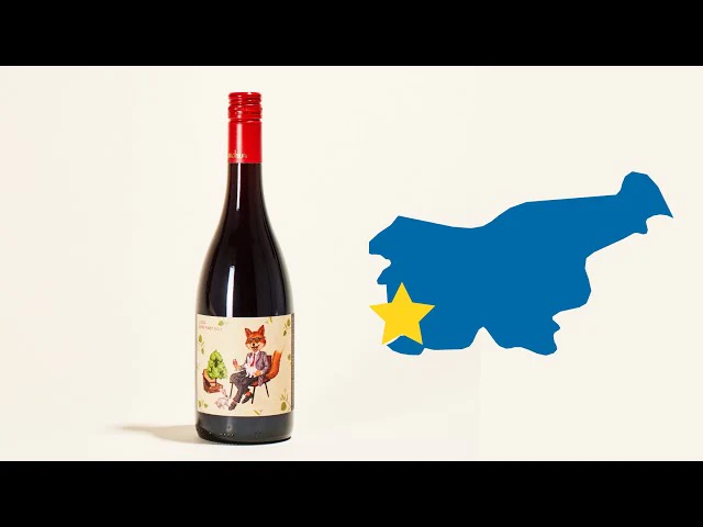 Lisica Pinot Noir 2018 - Image 5