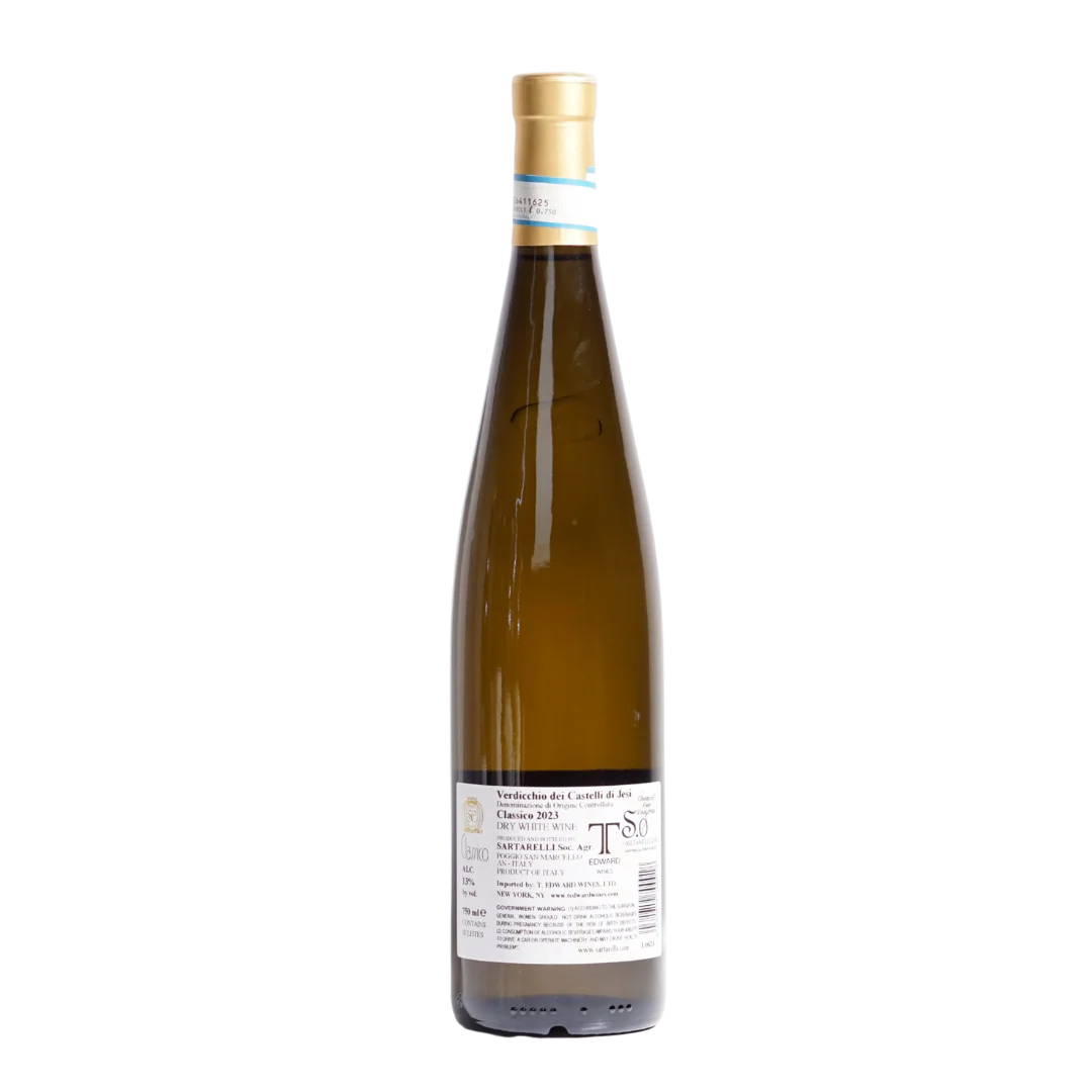 Sartarelli Classico Verdicchio dei Castelli di Jesi DOC 2023 - Image 2