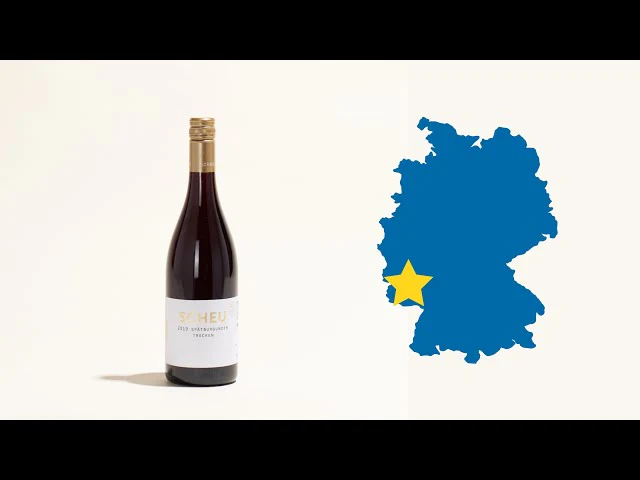 Pfalz Spätburgunder Trocken 2020 - Image 5