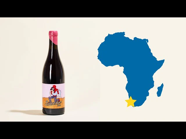 Cinsault 2015 - Image 5