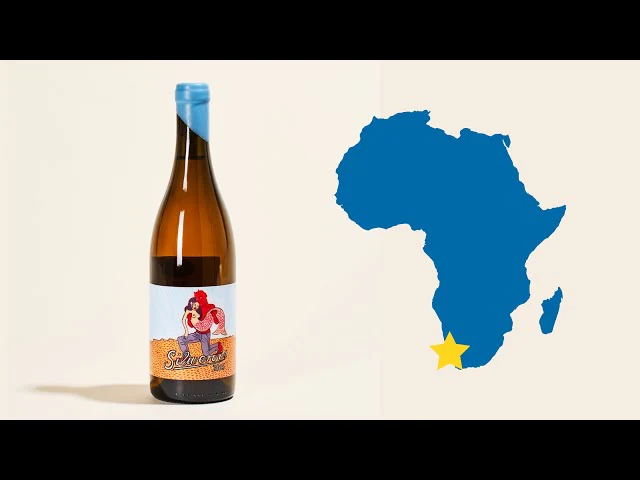 Orange Chenin 2015 - Image 5