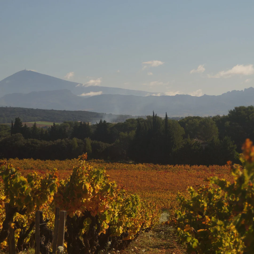 Atout Rouge 2021 - Image 4