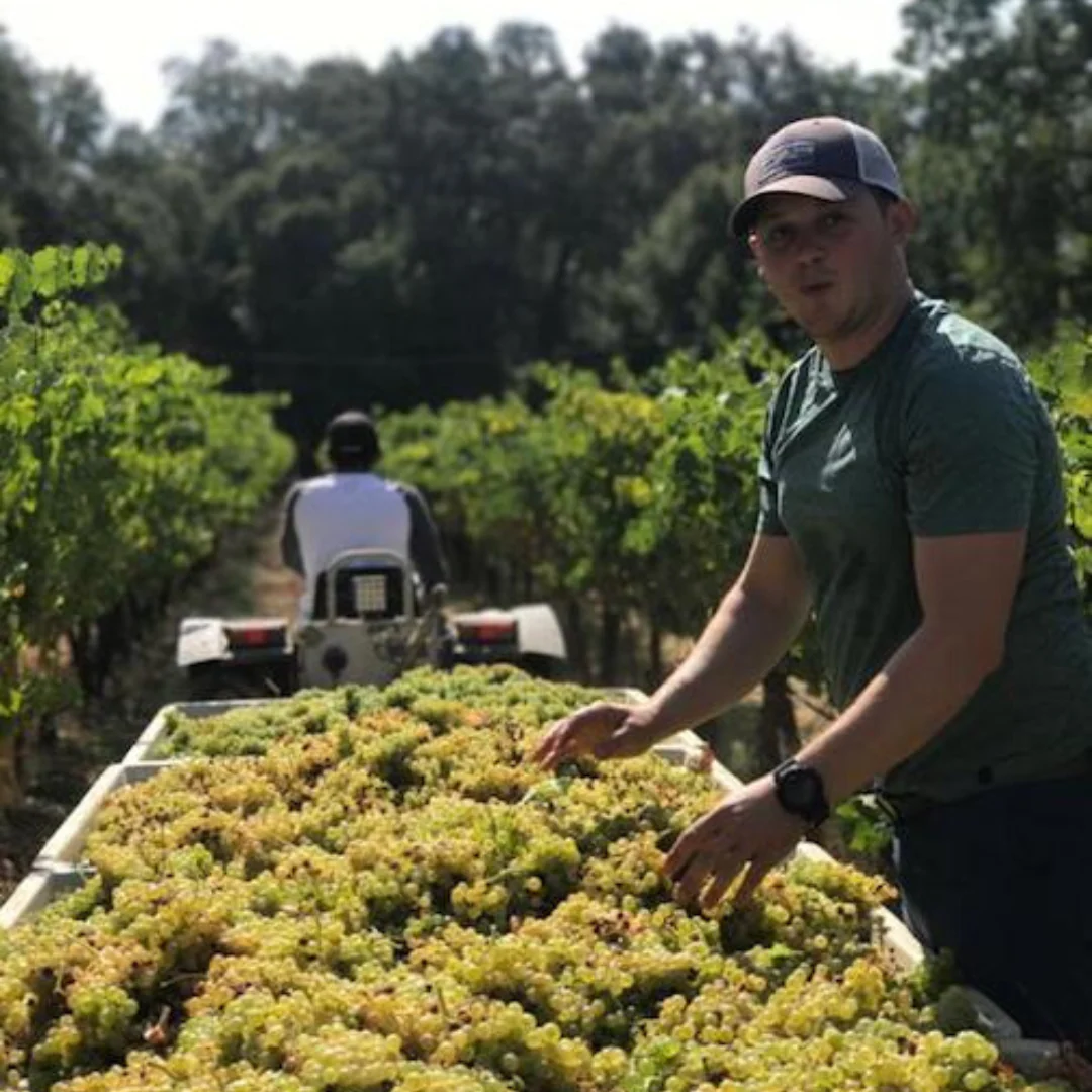 Lovett Vineyard Dreamboat Field Blend 2021 - Image 3