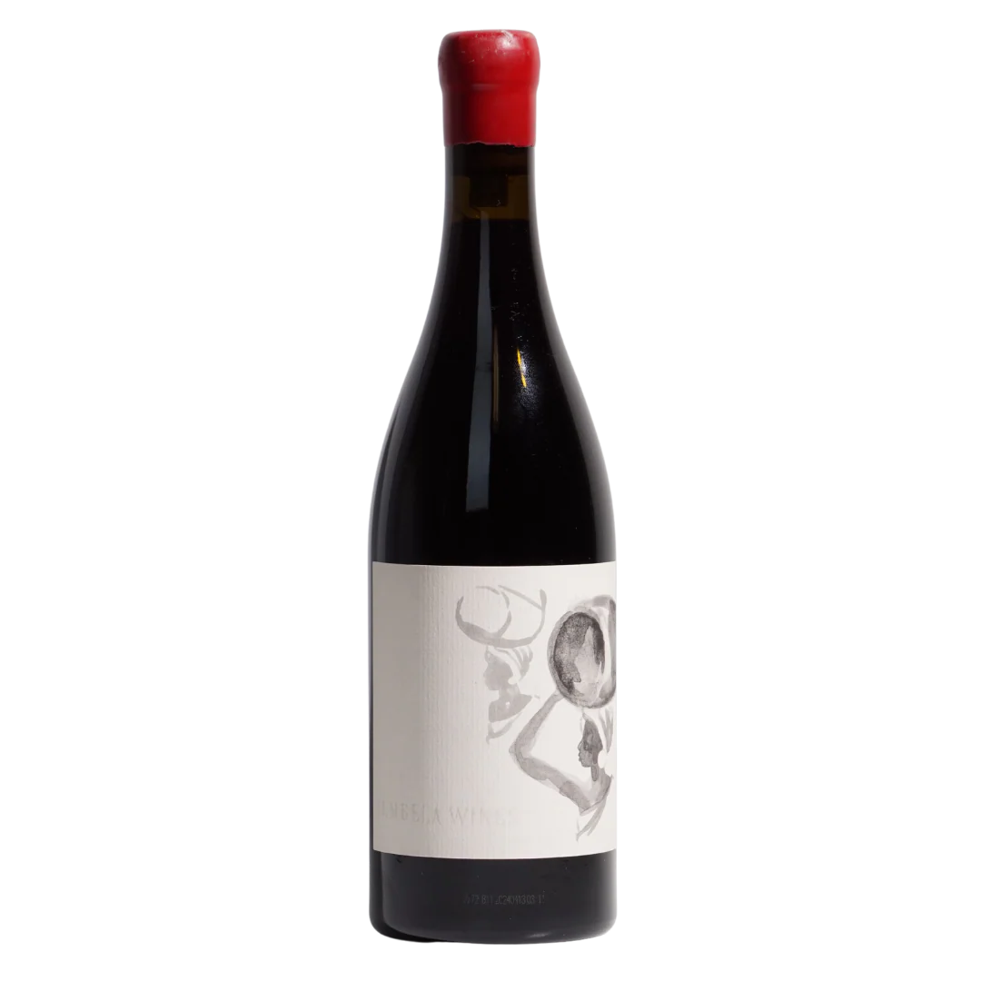 Syrah 2024