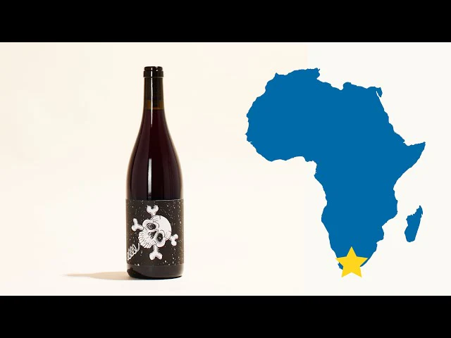 Barebones Cinsault 2021 - Image 5