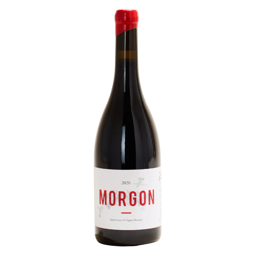 Morgon 2023