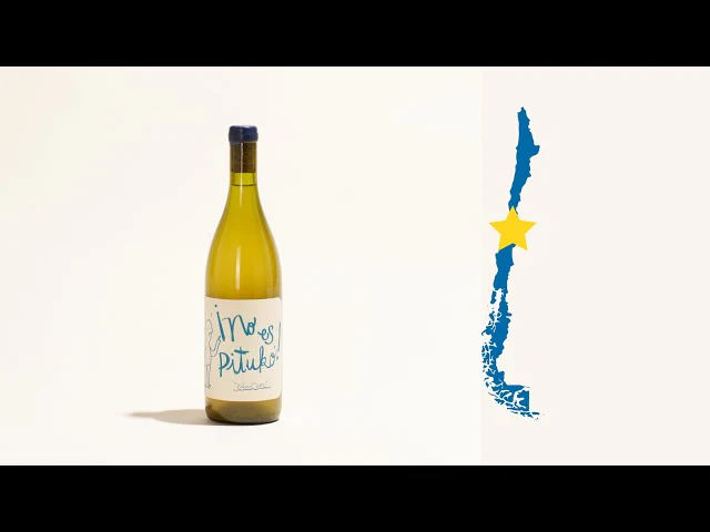 No Es Pituko Viognier 2023 - Image 7