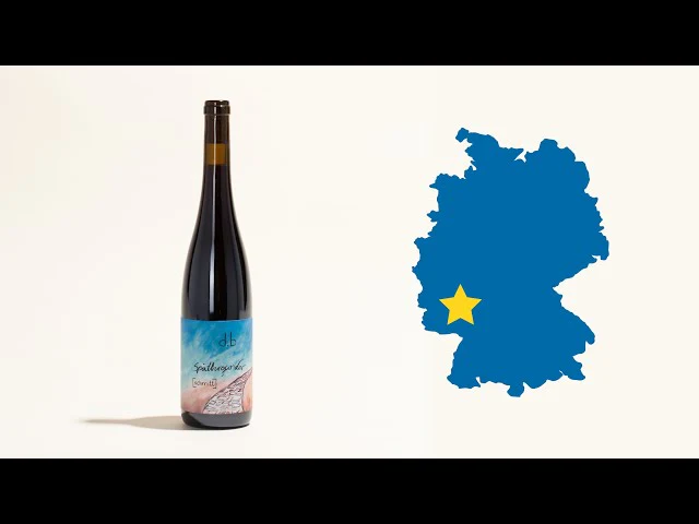 Rheinhessen Spätburgunder 2018 - Image 5