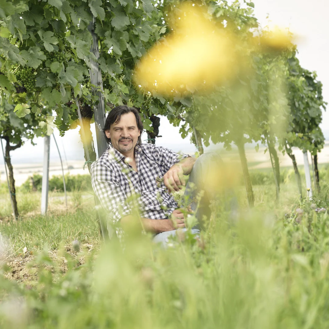 Orange Gruner Veltliner 2021 - Image 2