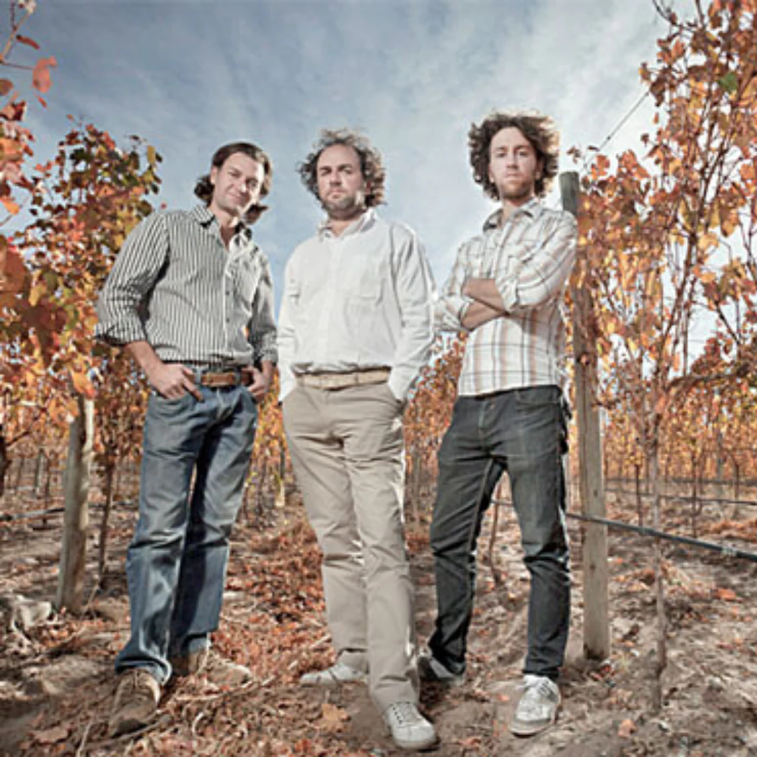 Terroir Unico Pinot Noir 2018 - Image 3